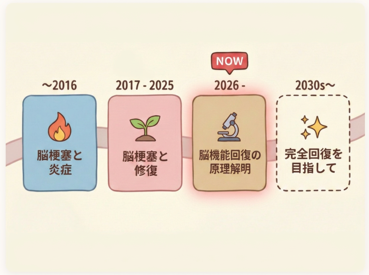 研究の歩み：〜2016 脳梗塞と炎症 → 2017-2025 脳梗塞と修復 → 2026- 脳機能回復の原理解明 → 2030s〜 完全回復を目指して